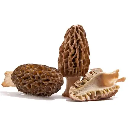 Croc'ket Morille (Précuite ( four, air fryer ), 500 gr)